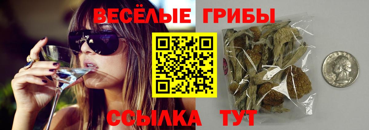 Галлюциногенные грибы ЛСД Губкинский